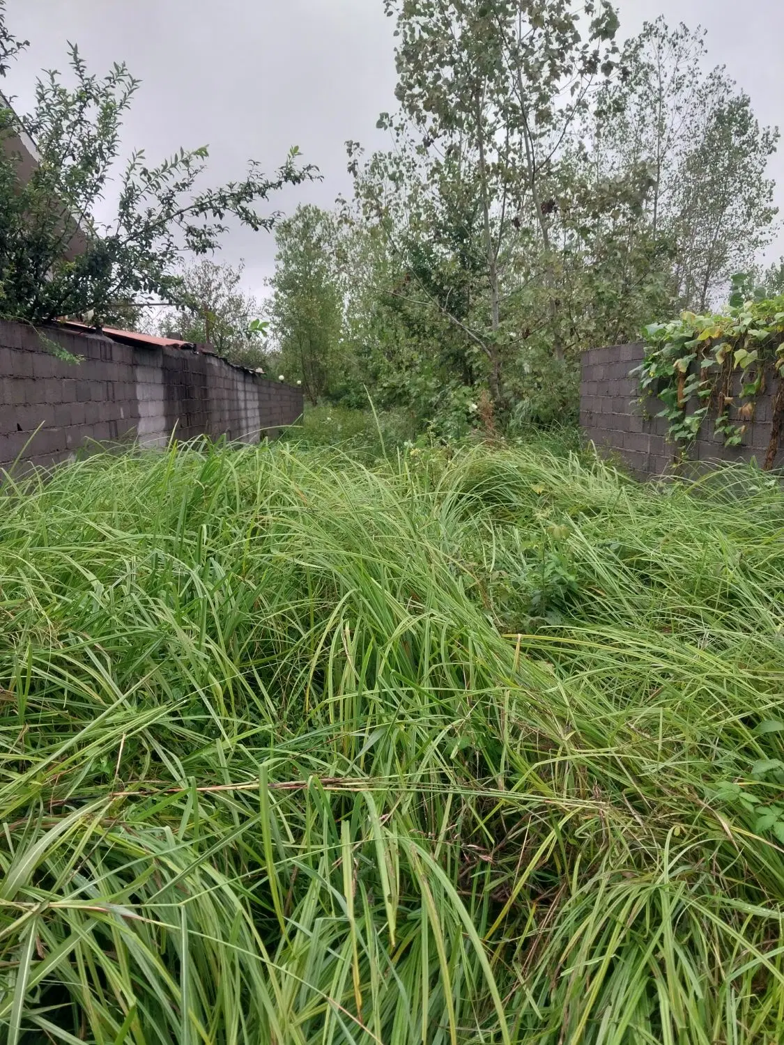 زمین در رشت شهرک صنعتی خیابان مجید زارع