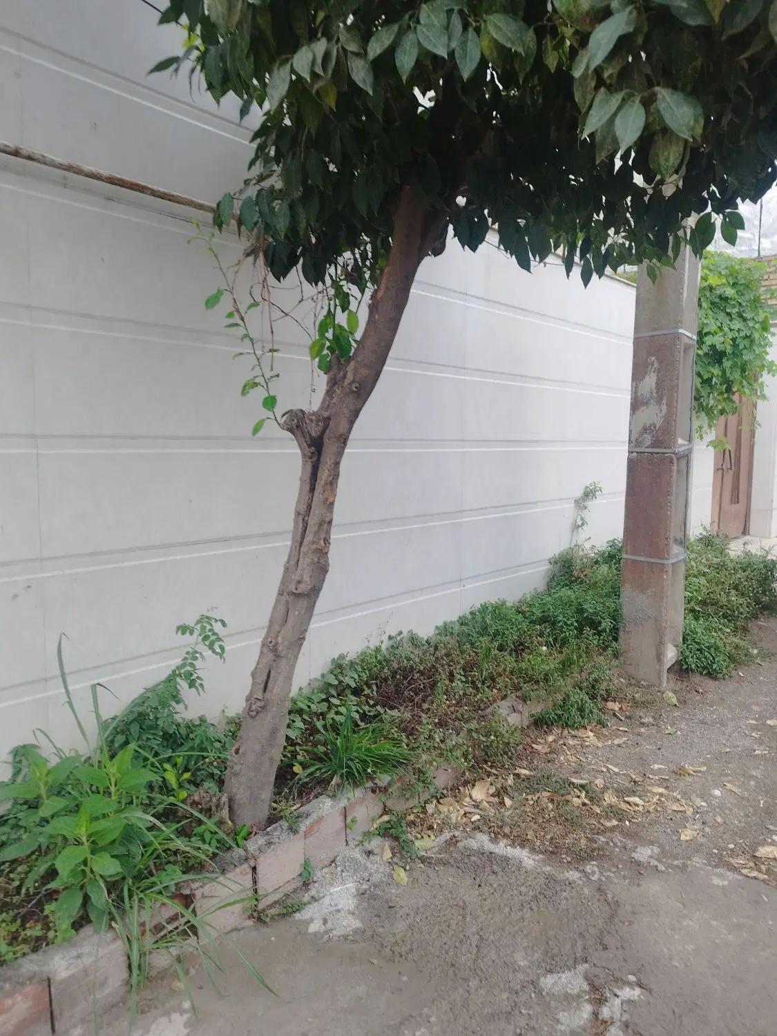 خونه ویلایی فروشی