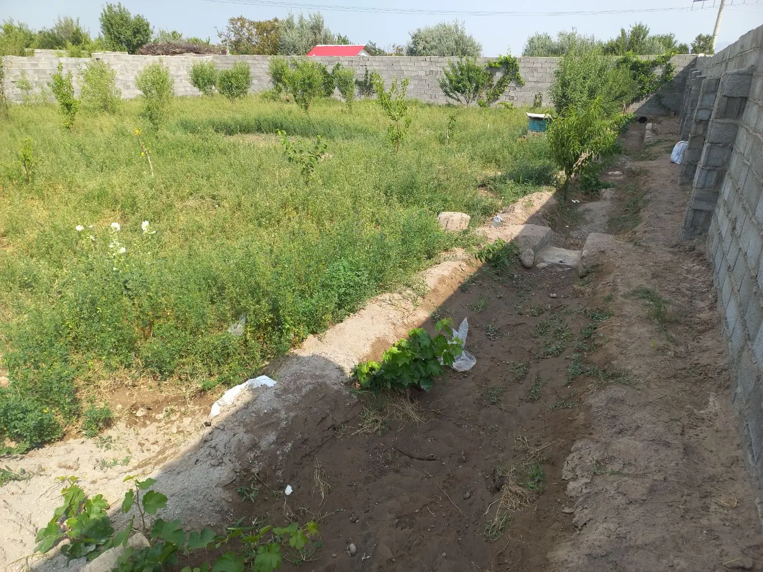 باغ محصور در روبروی میدان تره بار تبریز