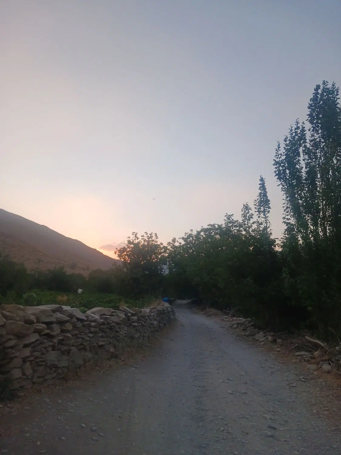 باغ هزاوه