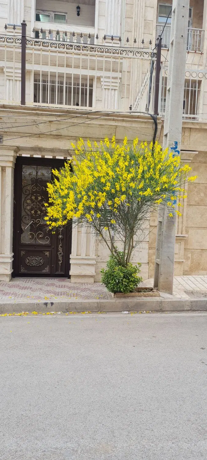 ساختمان در نوروزیان  شهرک نیلی