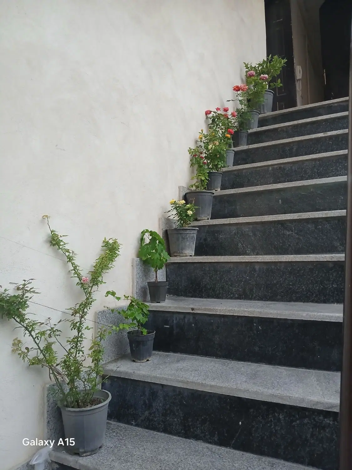 حرم مطهرشارستان ۶دانگ