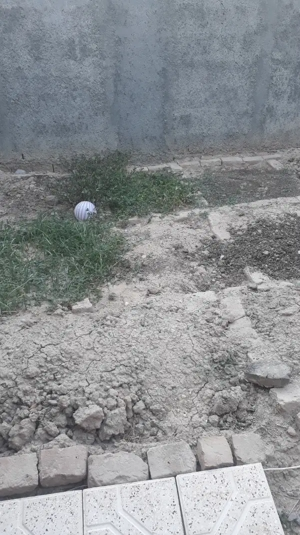 زمین فروشی واقع در روستای چلو