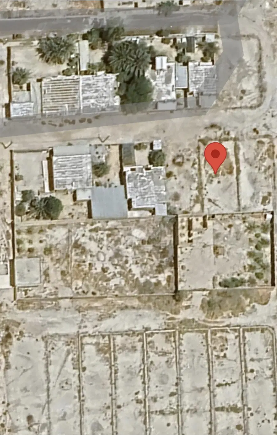 زمین مسکونی نخل صفا