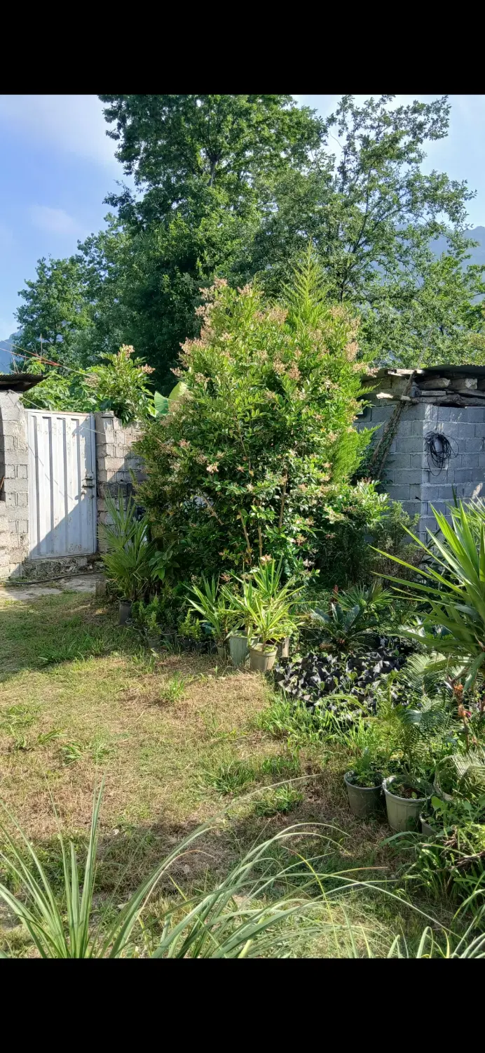 زمین 210 متری مسکونی