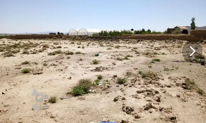 زمین زراعی