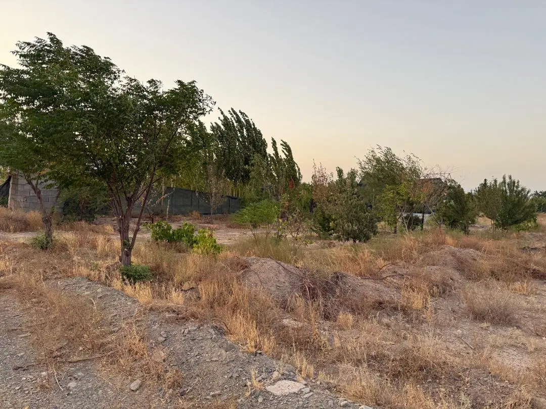 زمین باغستان ثامن چاهشک
