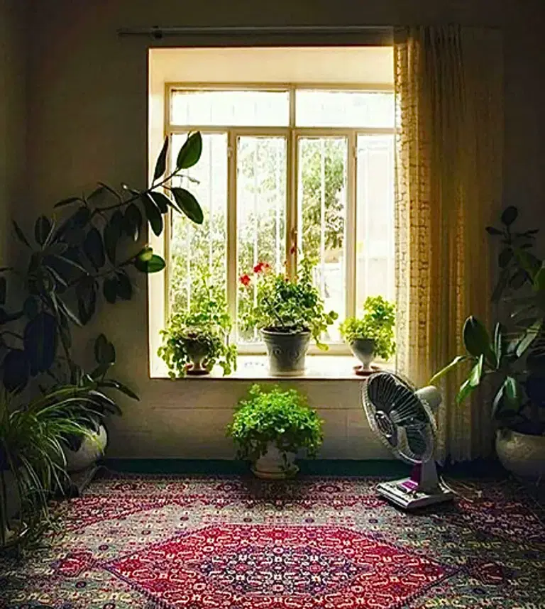 ویلایی ۹۵ موید