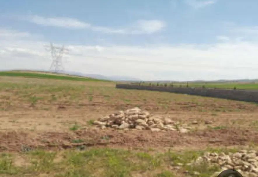 زمین کشاورزی