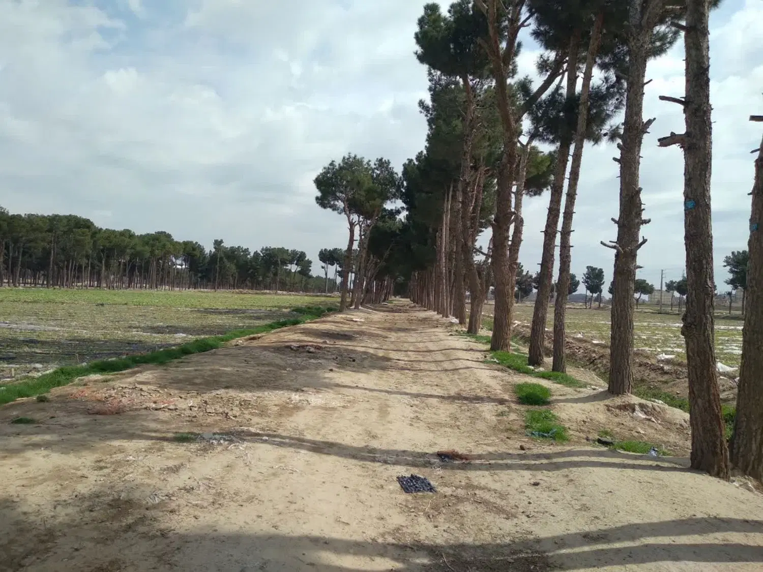 زمین ۹۰۰متر سند دار مناسب تبدیل به باغچه