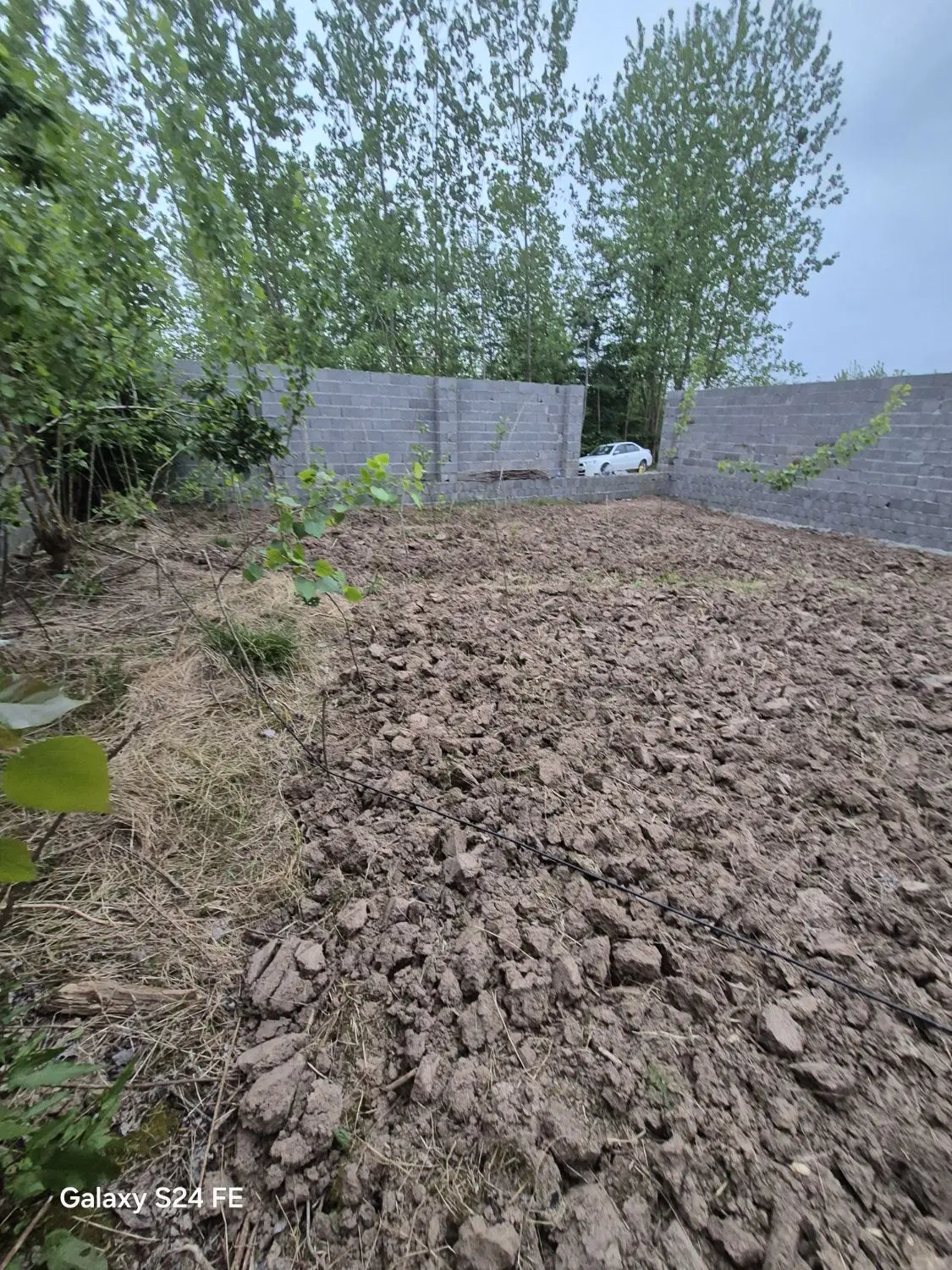 ۹۰۰ متر زمین مسکونی نزدیک گلسار
