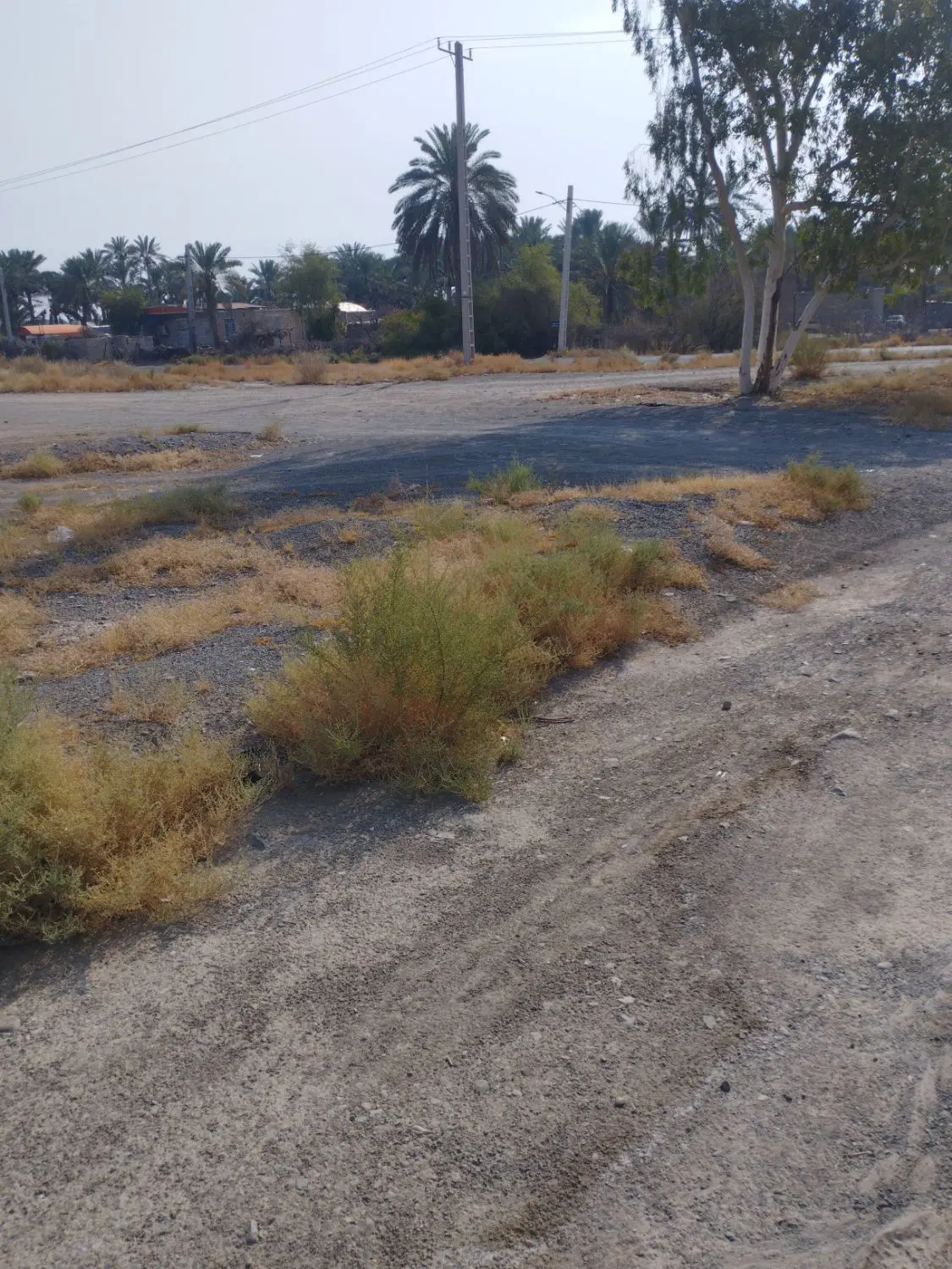 ۸کیلومتری جیرفت روستایی خاتون زنگیان نرسید کلاب