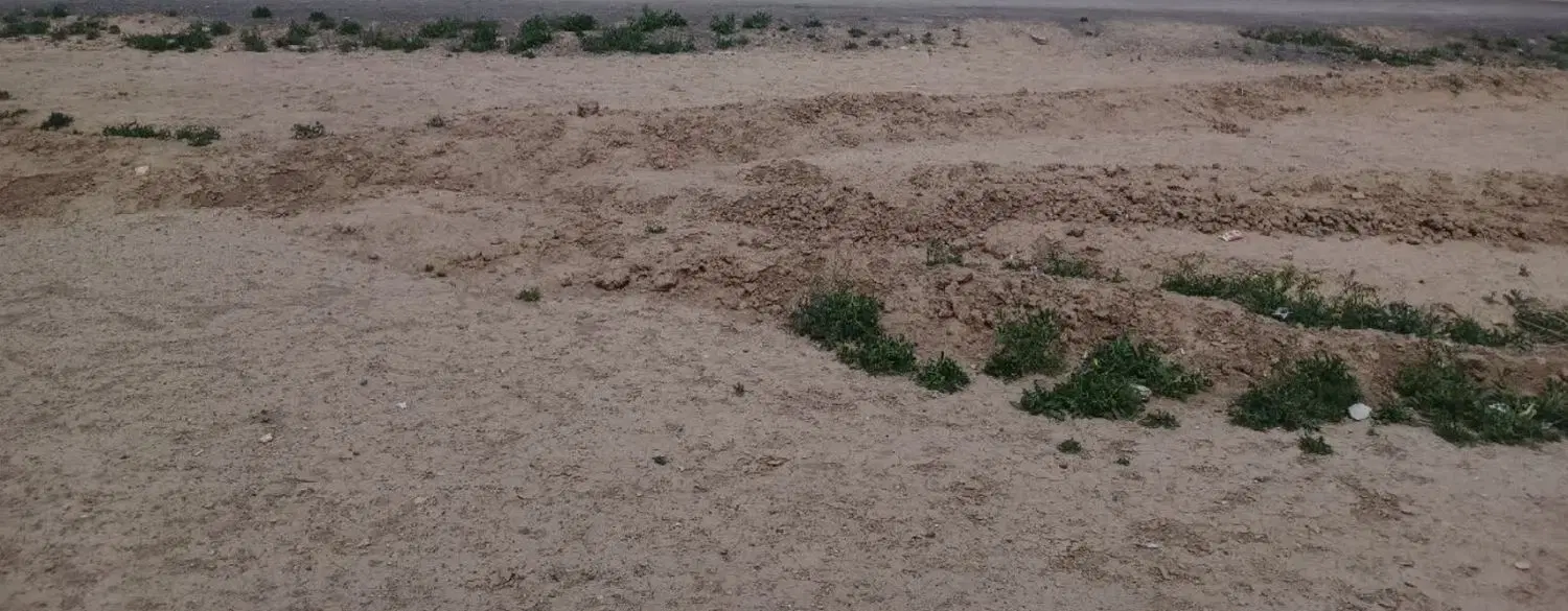 زمین مسکونی