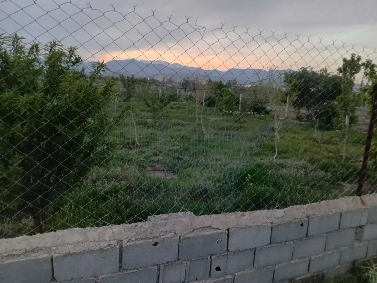 باغ