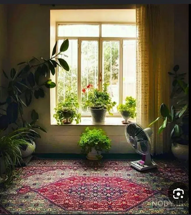 همخانه همخونه هم خونه هم خانه