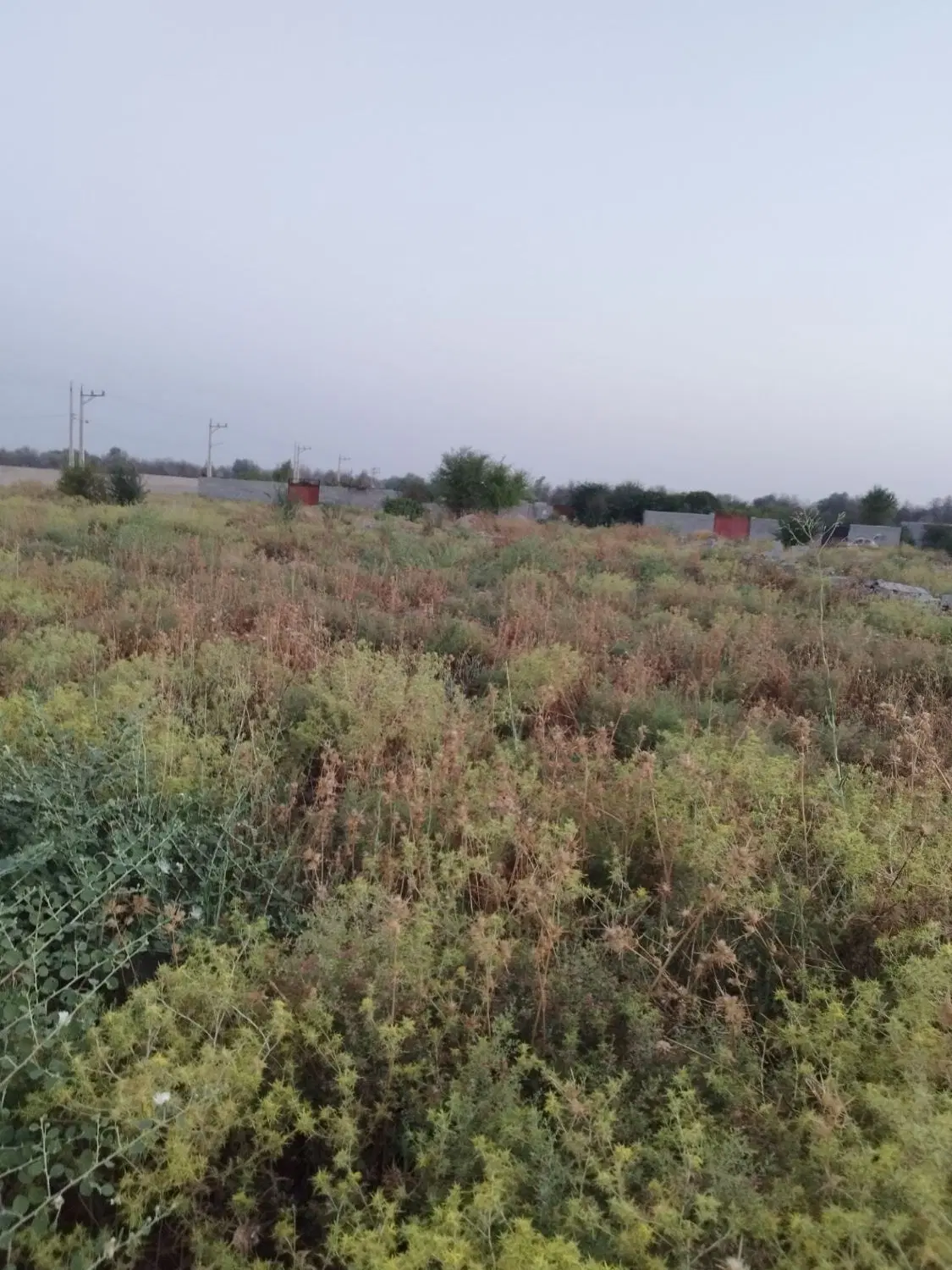 زمین باغچه