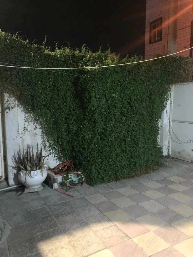 رهن کامل،۷۵۰