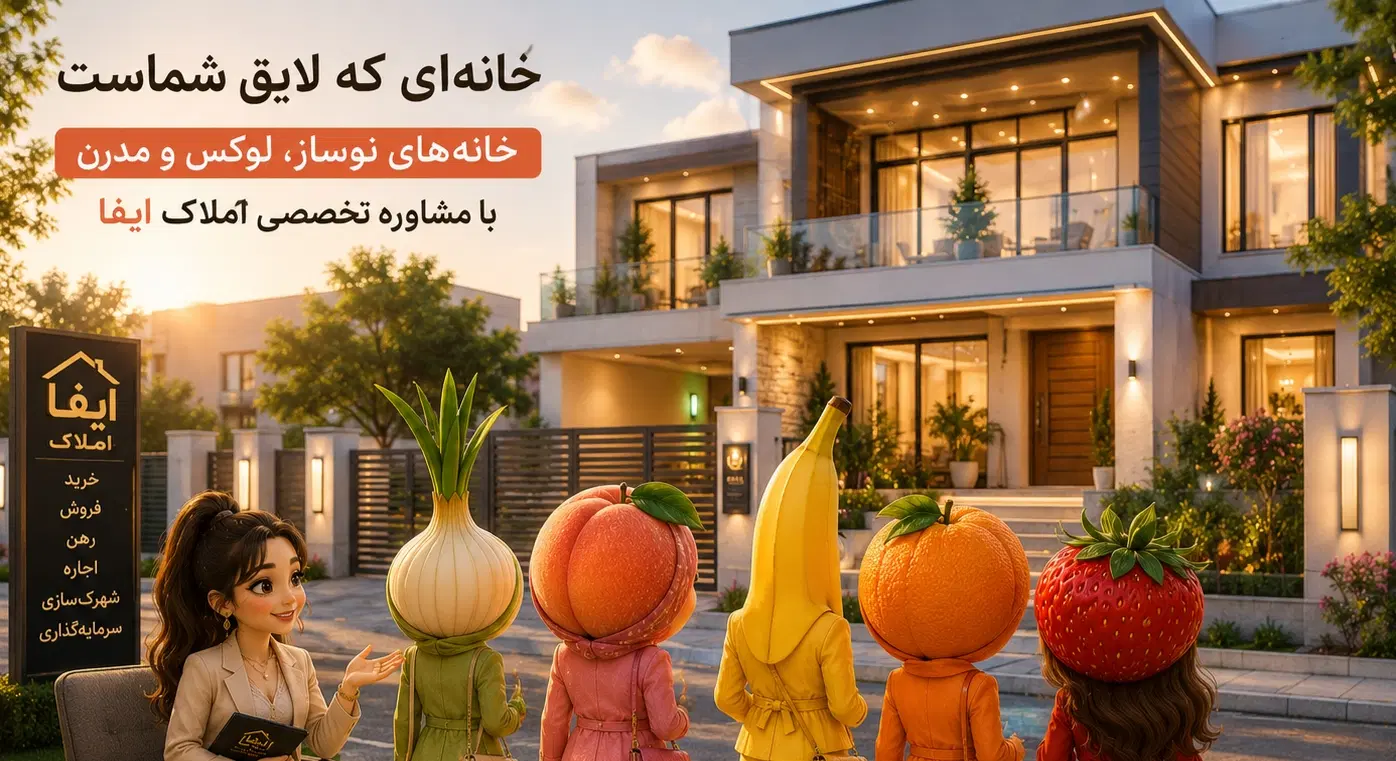 زیتون تجهیز شده ۱۷هکتاری
