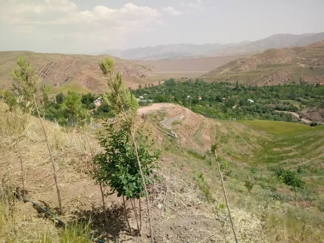 باغ‌زمین خاص برای خاص‌پسندها