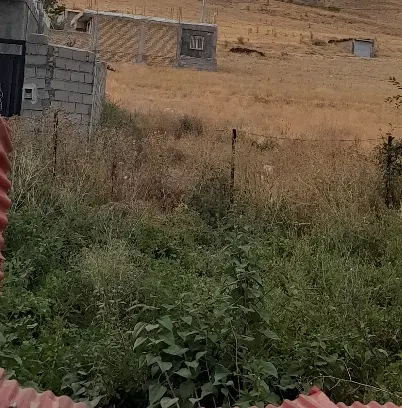 زمینی سه قطعه برای ساختمان سازی