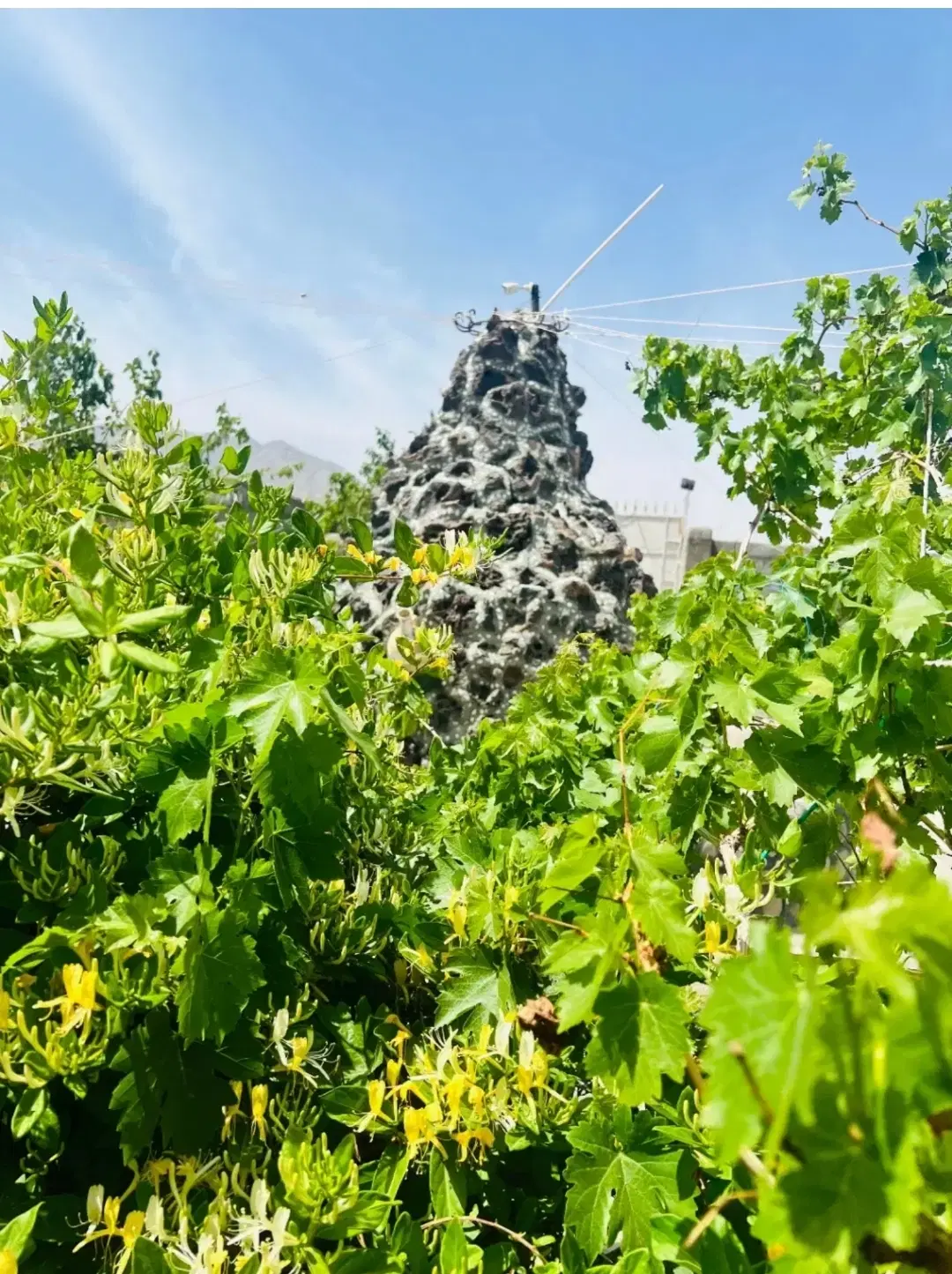 زمین فروشی منزل آب شهرک شامراد