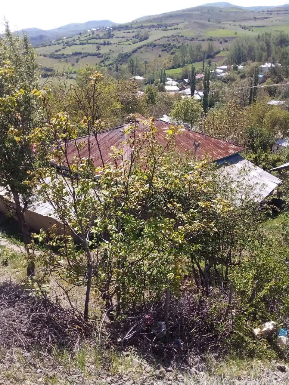 خانه مسکونی ۶۵۰متری دیلمان