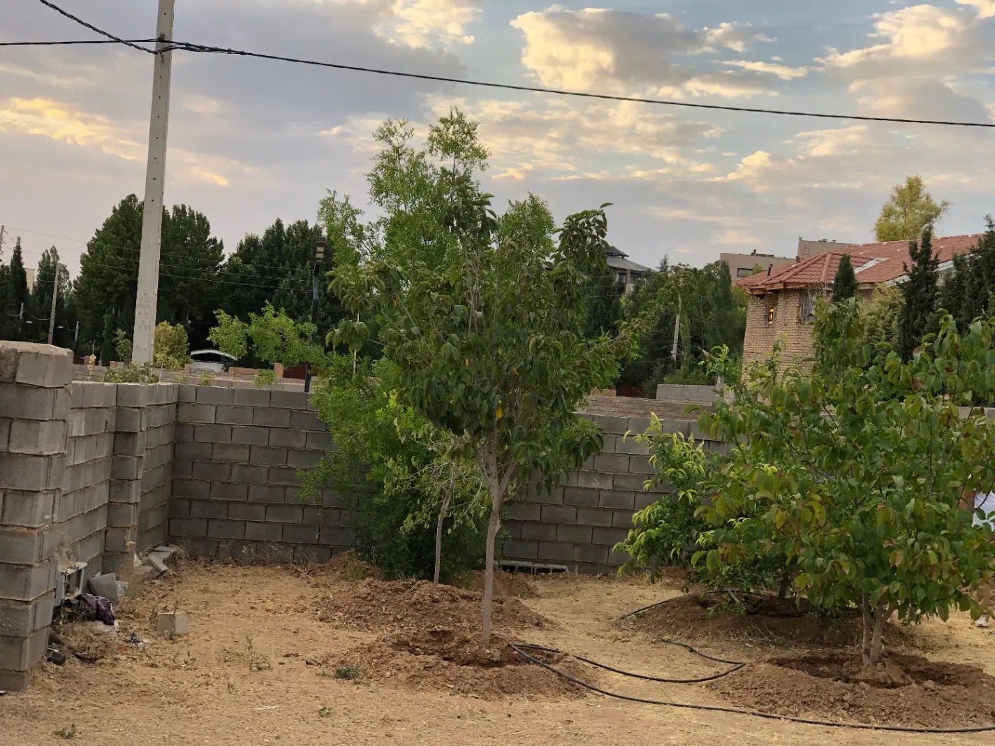 باغشهری باغ گویم