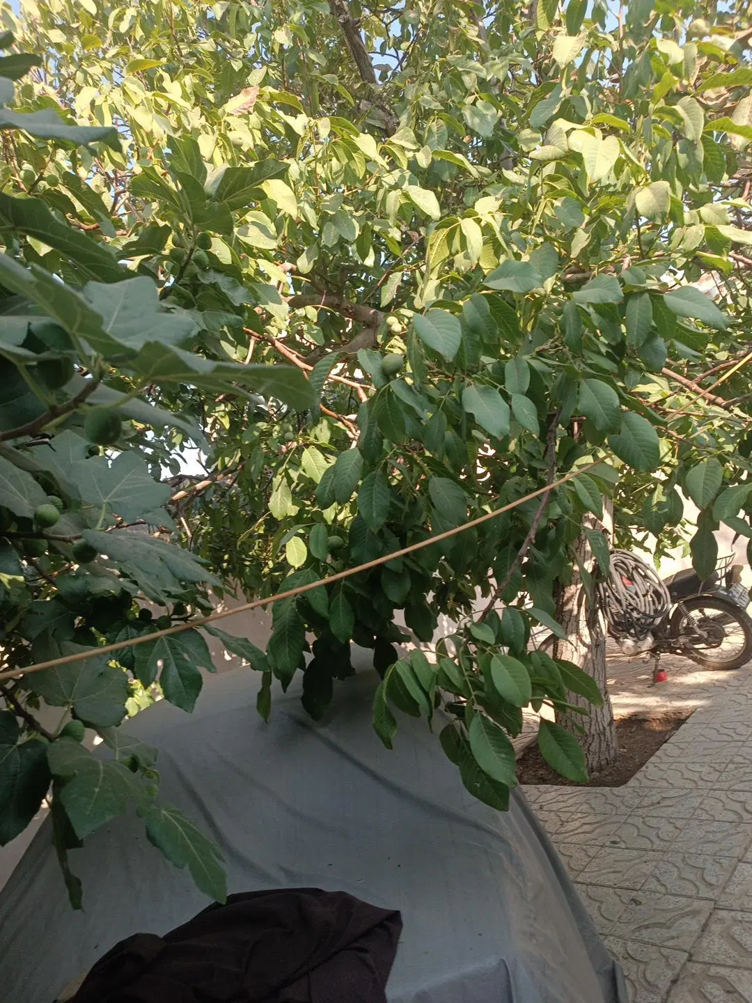 منزل مسکونی