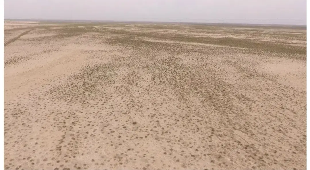 ۴۰ هکتار زمین آبی_دشت سمیده دهلران