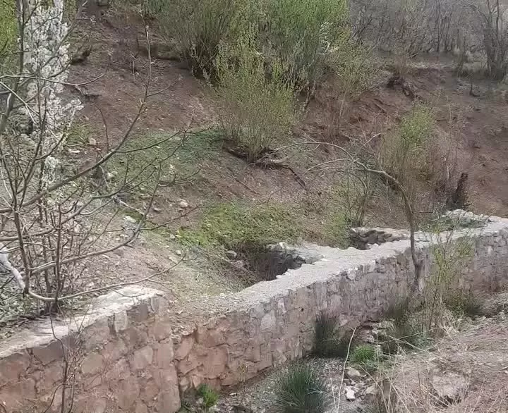 ۲۰۰ متر زمین در امامه دارکیا