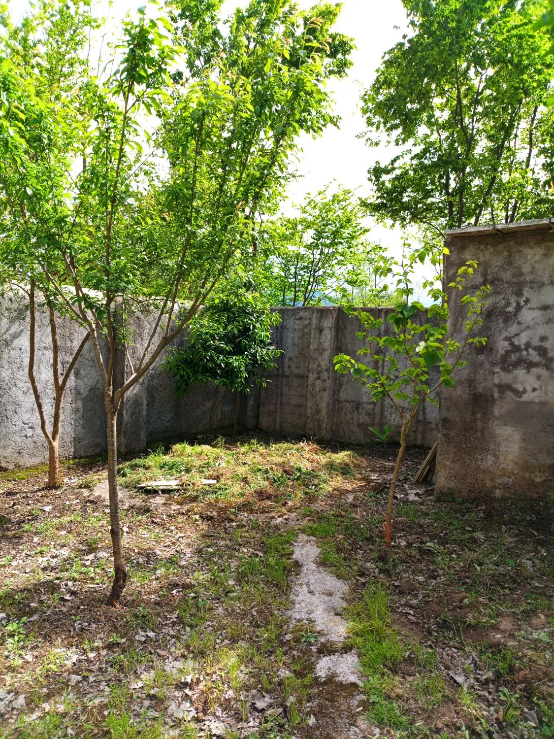 ویلای لوکس و لاکچری