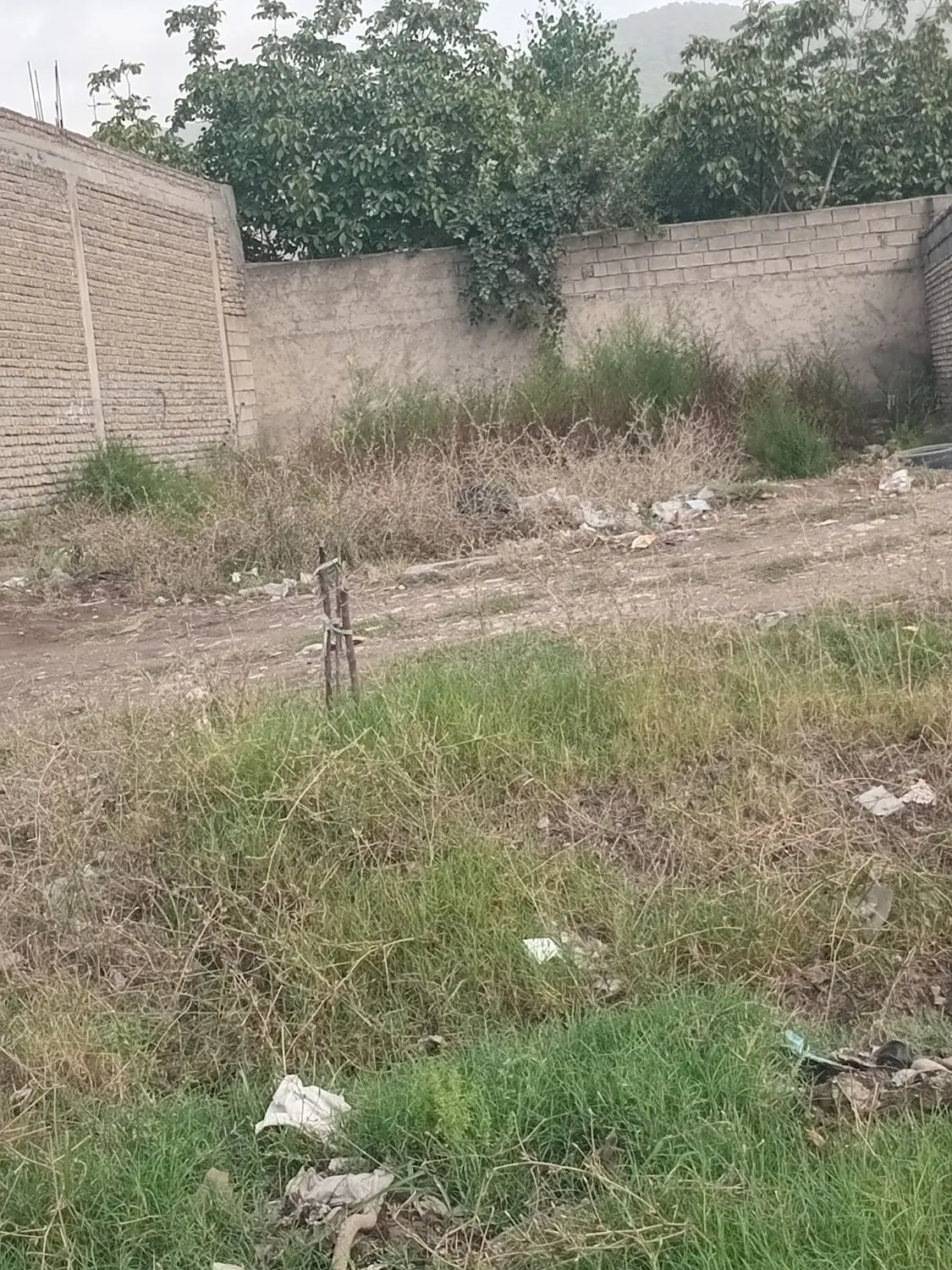 زمین ۲۰۰ متر بر جاده بین المللی