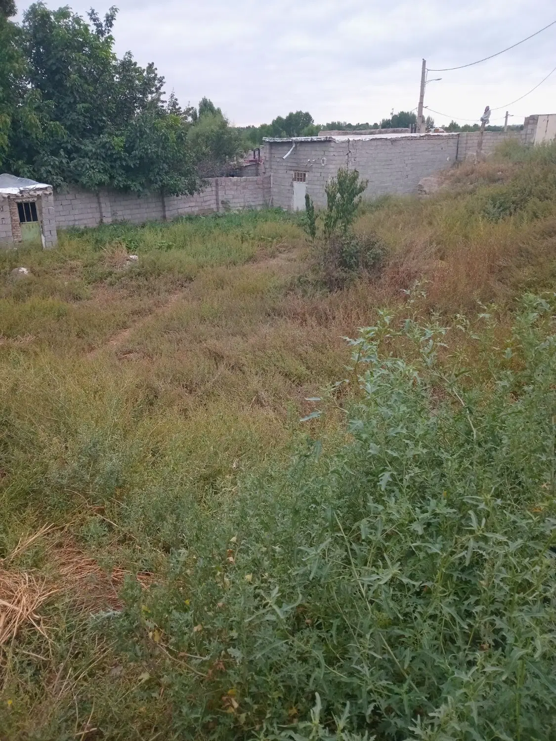 فروش زمین مسکونی روستای عموقین