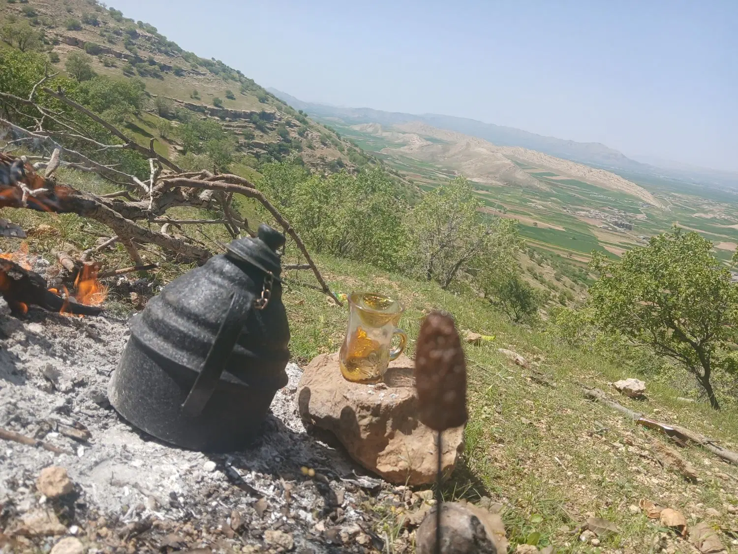 زمین ویلایی