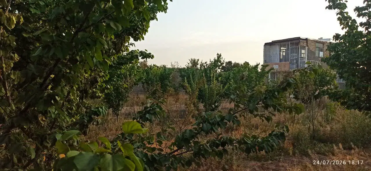 فروش باغ زازران