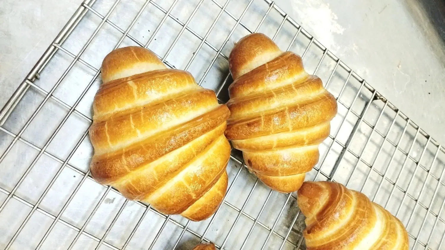 اجاره کارگاه شیرینی و نان
