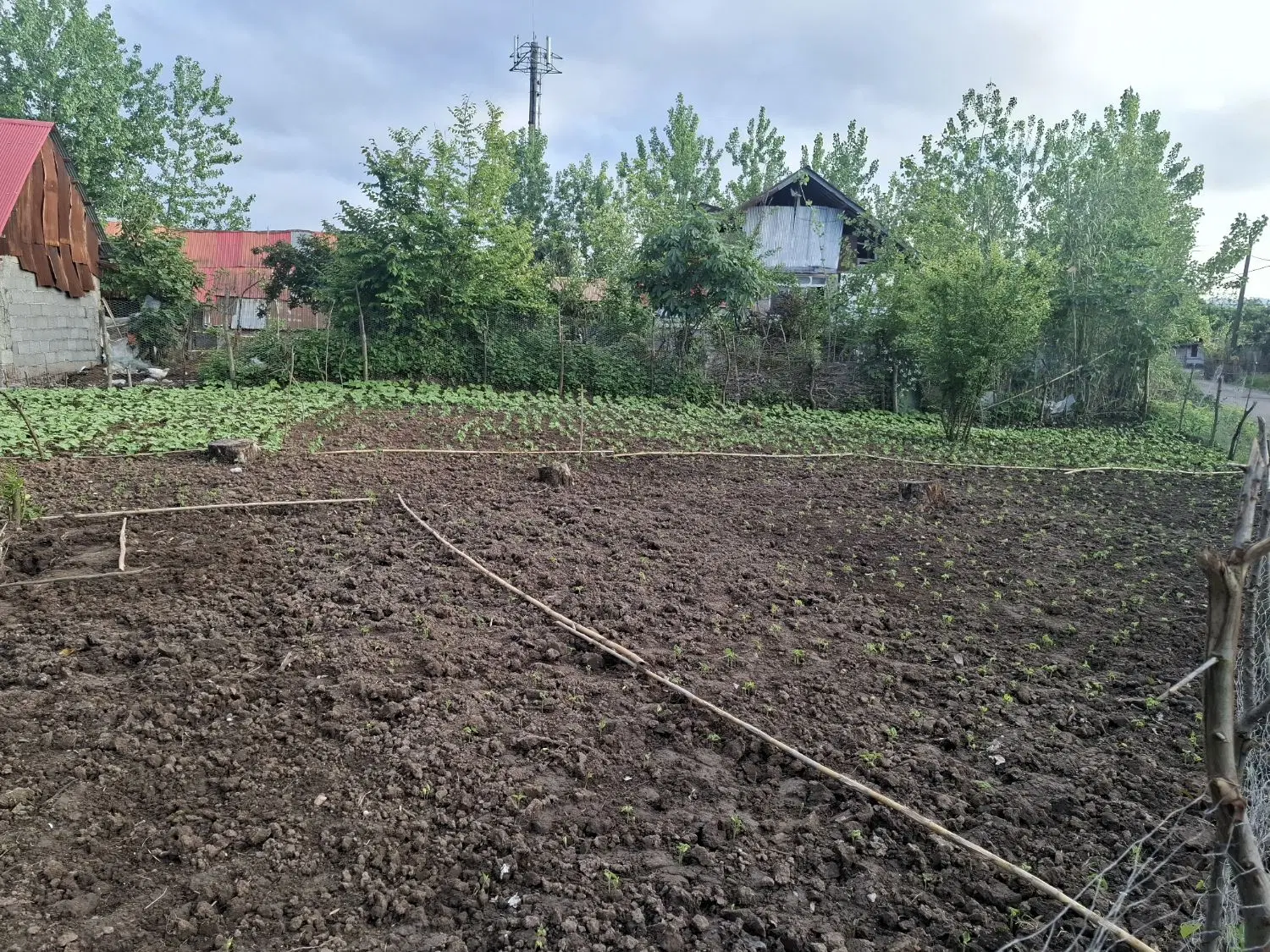 فروش زمین مسکونی در  روستایی نالکیاشر