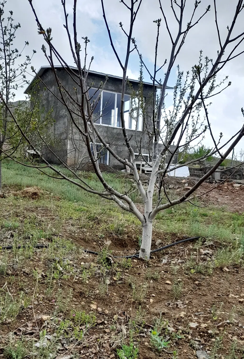 باغ شخصی نزدیک زنجان