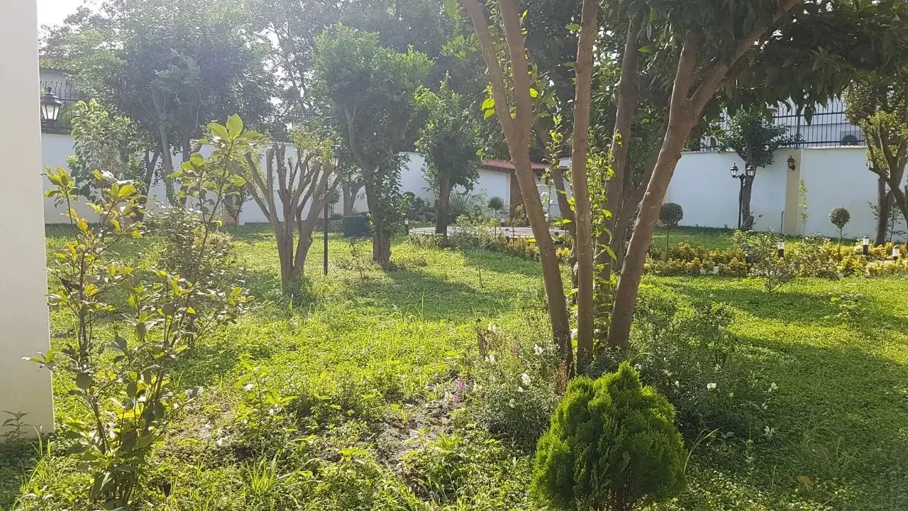 زمین مسکونی آماده ساخت منطقه توریستی دریاسر