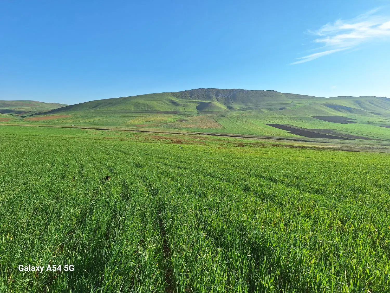 زمین‌کشاورزی‌انگوت‌