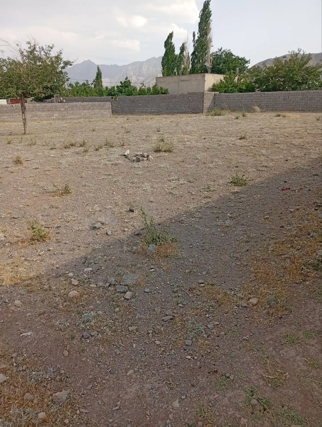 زمین مسکونی