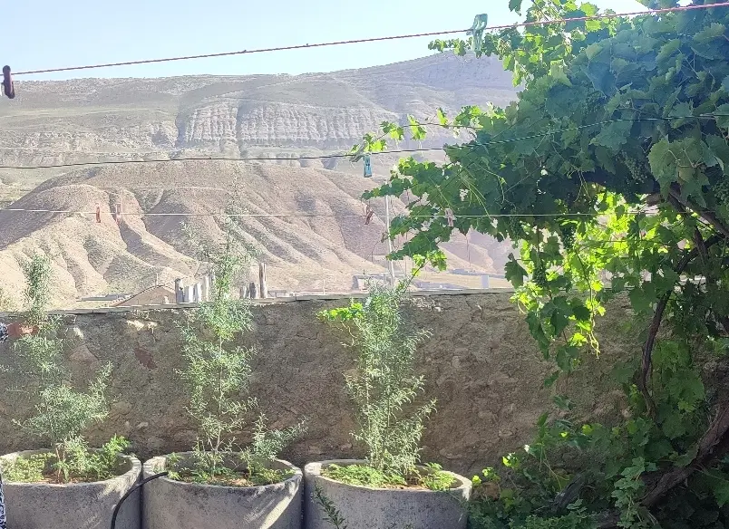 ۱۵۰متر زمین دماوند