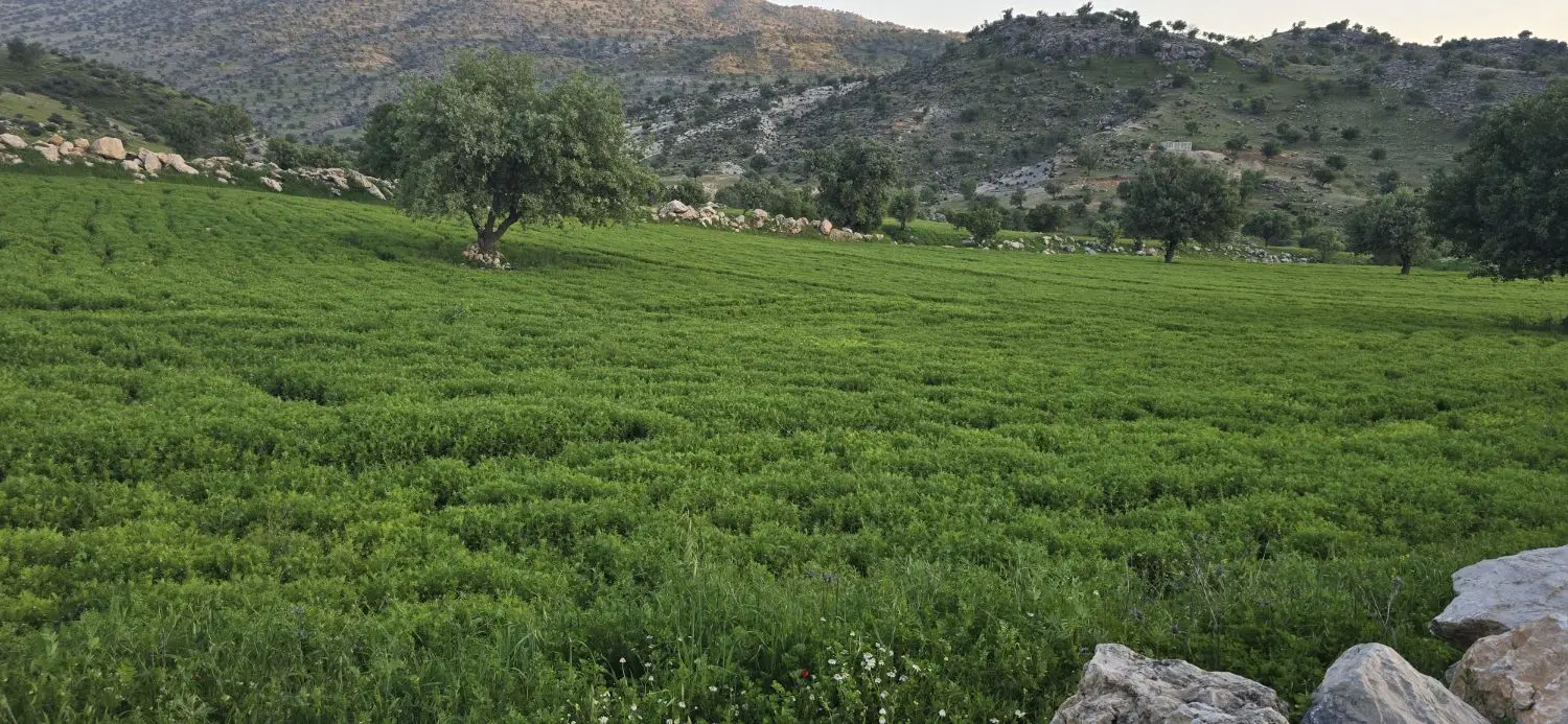 فروش زمین های تجاری در علی اباد با عرض خوب