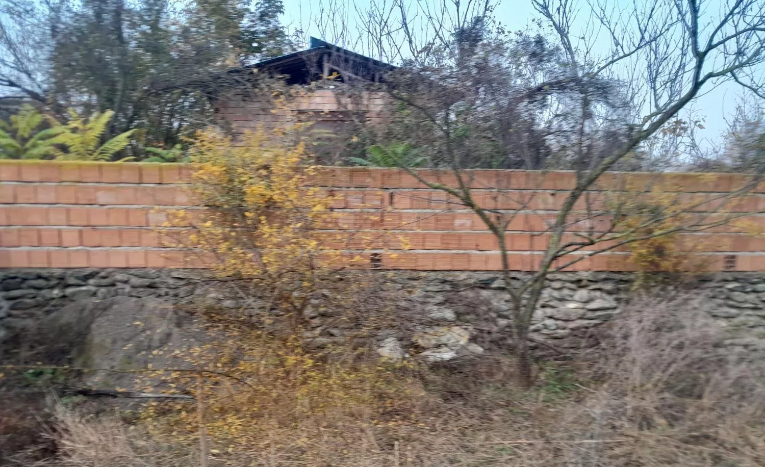 زمین باغی و کشاورزی