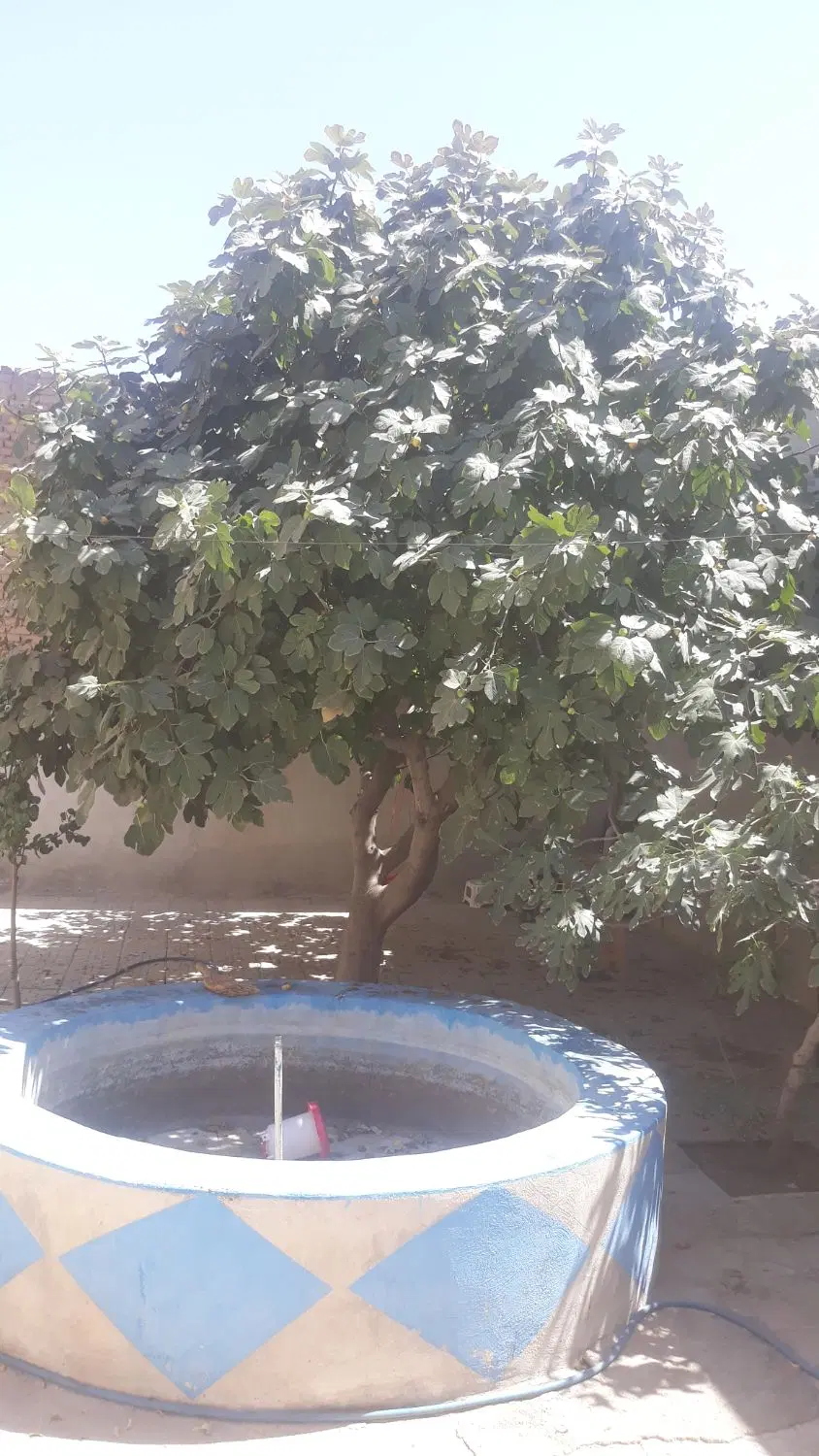 منزل قدیمی