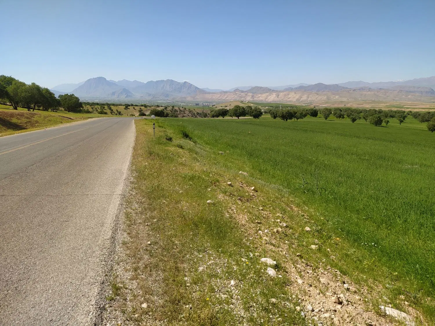 زمین کشاورزی جلو جاده اصلی آبشار نوژیان