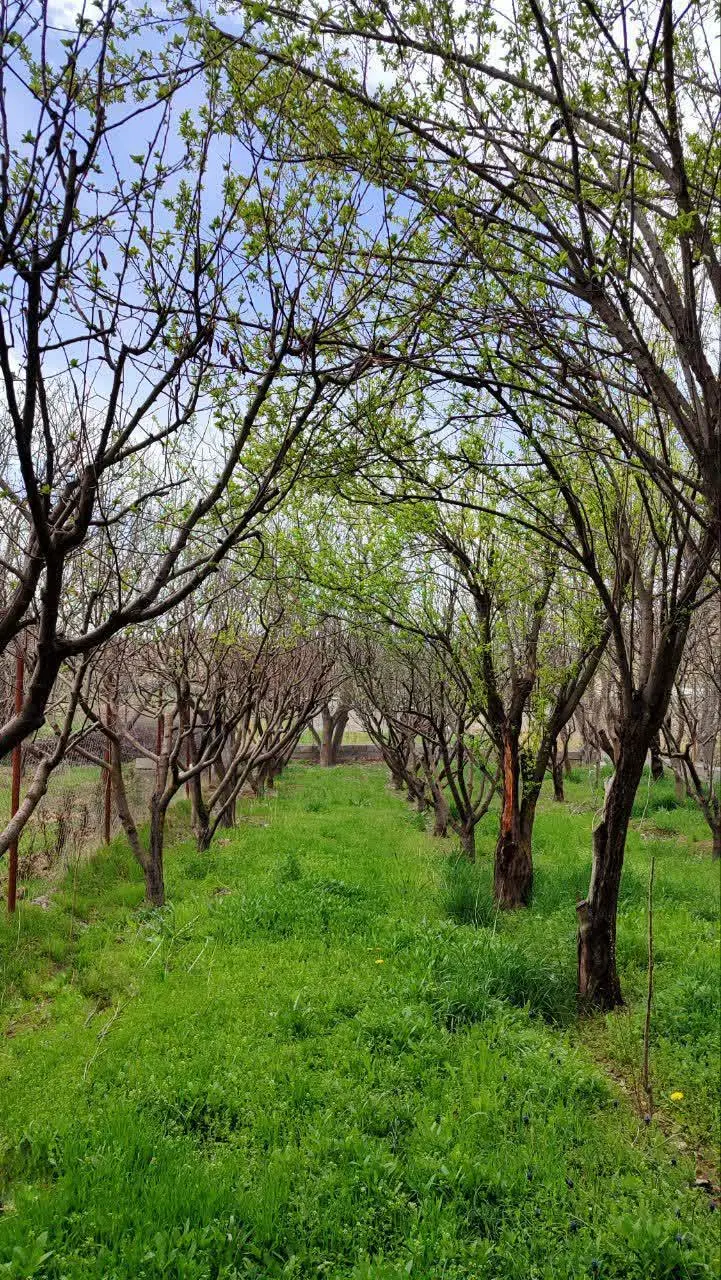 زمین چهاردیواری با ۲۵متر بنا