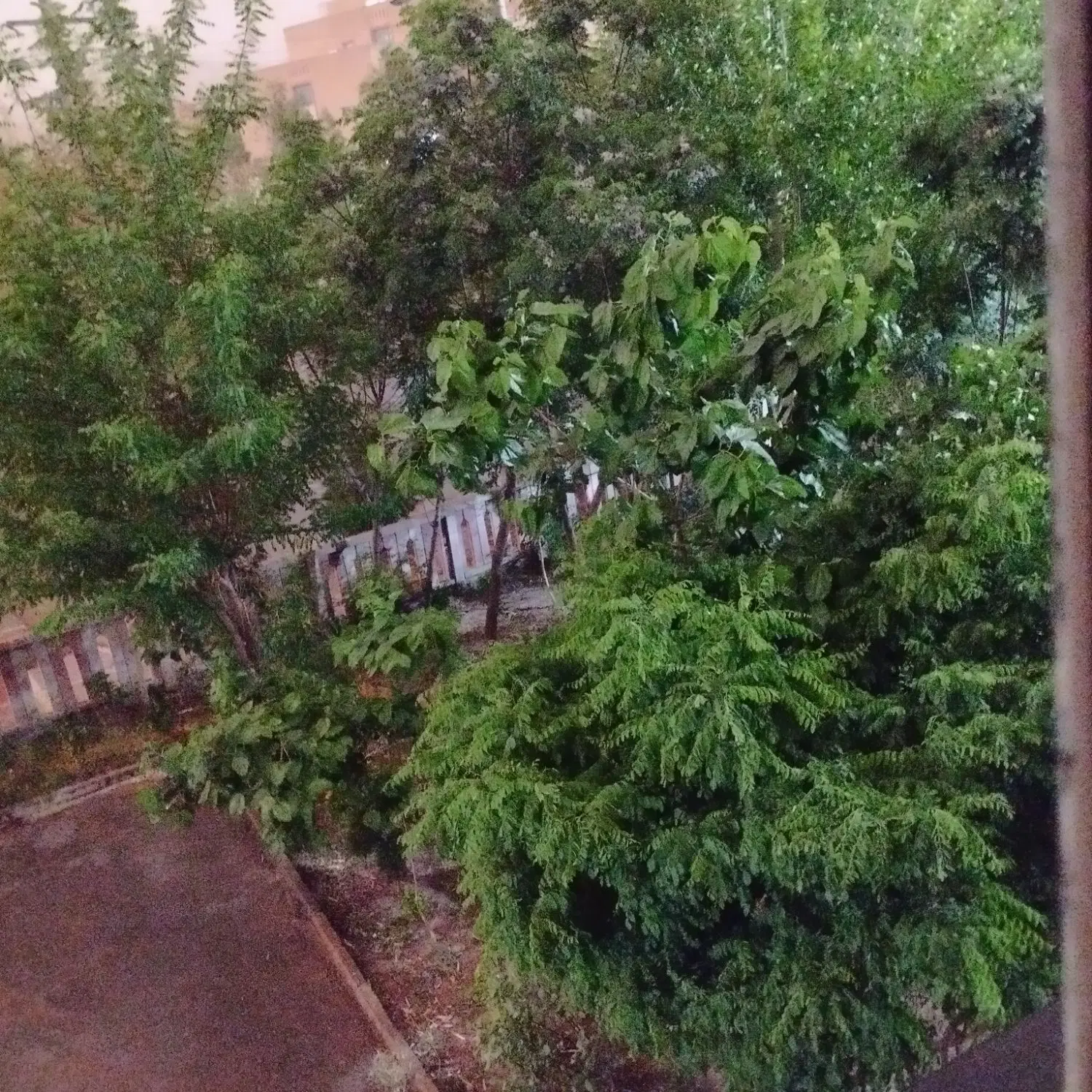 اجاره فاز دو