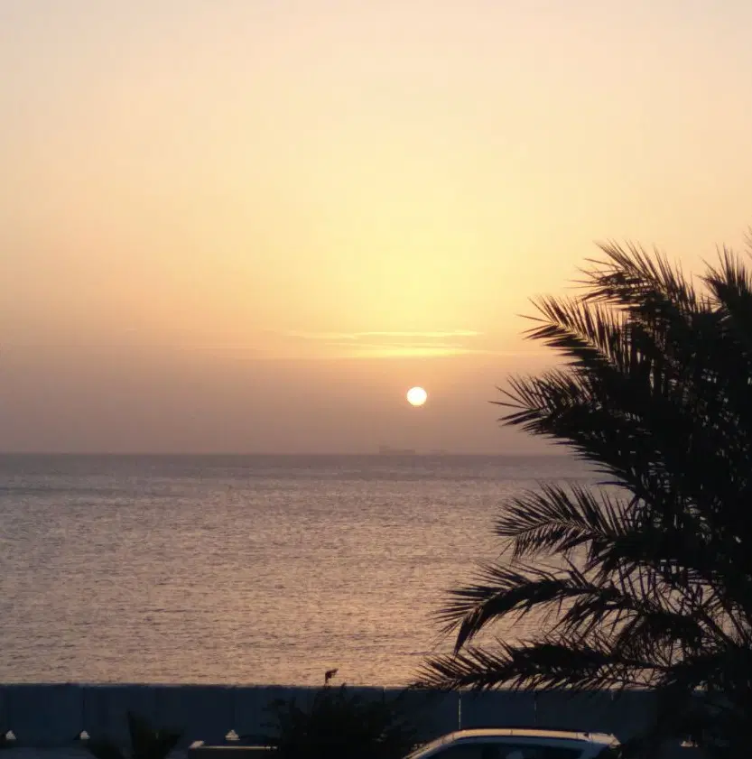 واحد یک خواب رو به دریا