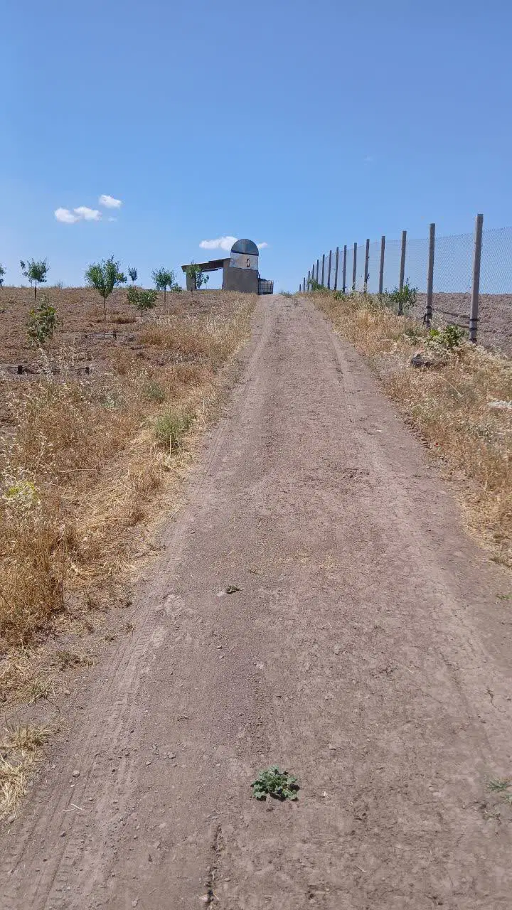باغ مثمر ۴۳۸۰ متری دارای سند تک برگ